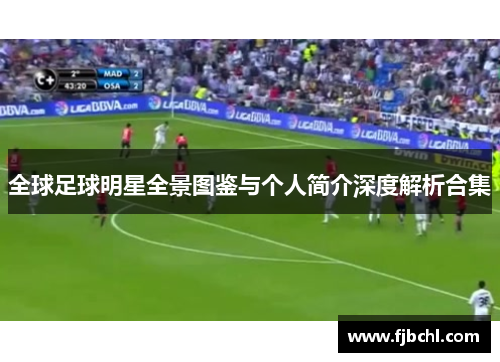 全球足球明星全景图鉴与个人简介深度解析合集